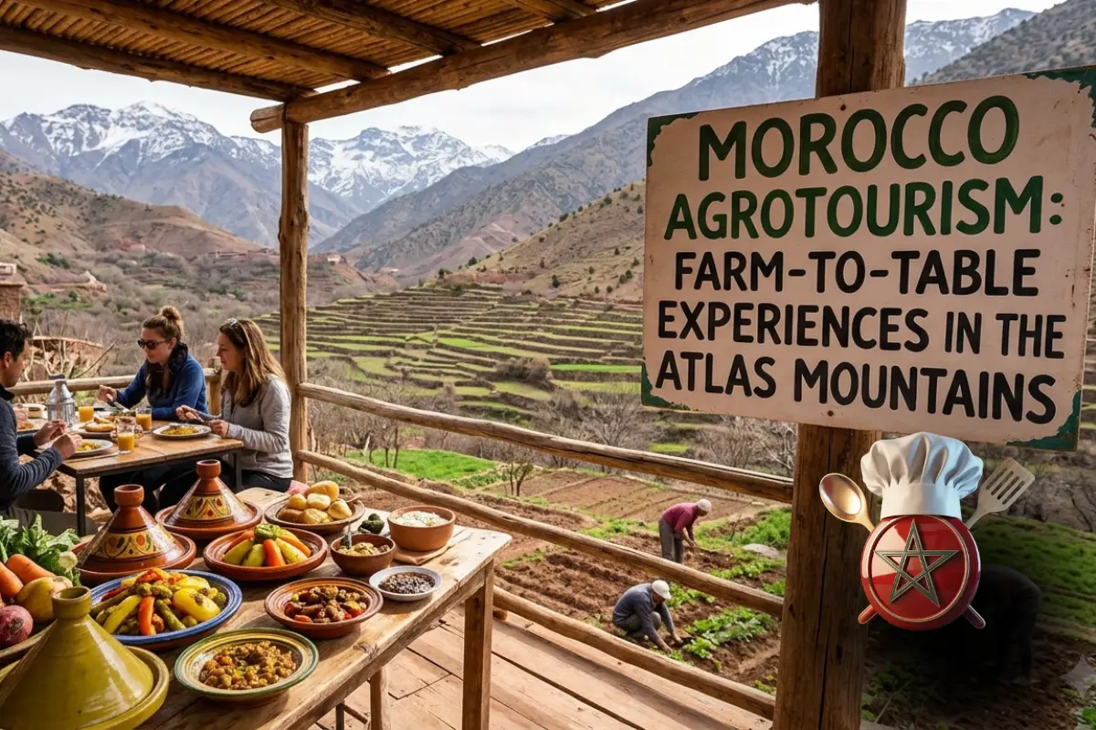 Morocco Agrotourism: Farm-to-Table Experiences in the Atlas Mountains